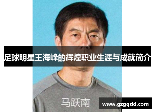 足球明星王海峰的辉煌职业生涯与成就简介