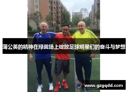蒲公英的精神在绿茵场上绽放足球明星们的奋斗与梦想